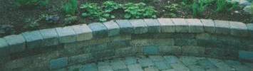 Shrub & Hedge Maintenance